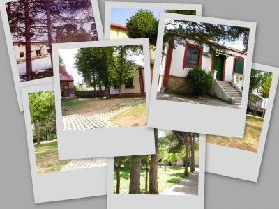 20061113121049-collage-del-albergue.jpg